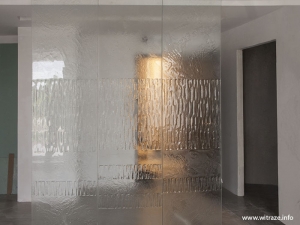 Modern Clear Glass Partition